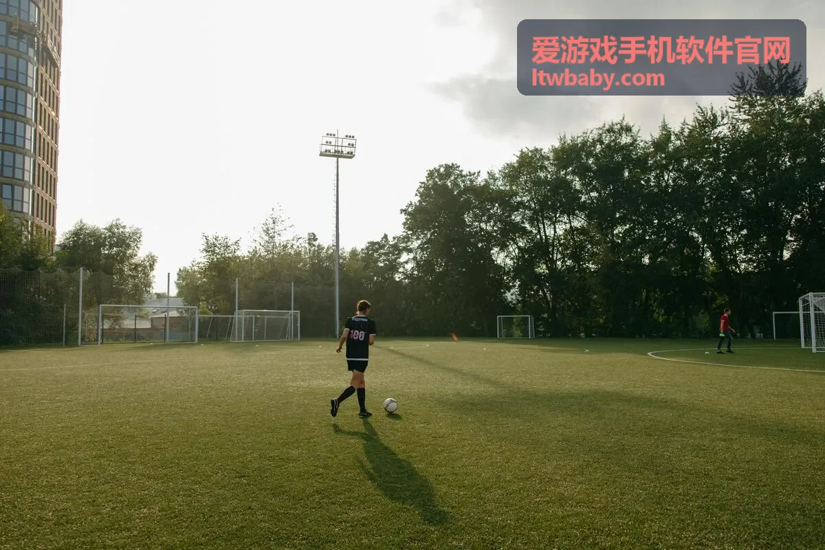 爱游戏手机软件官网版本更新后的打法调整封面